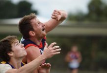 Scorpions fry under lights