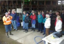 Growing story of commitment