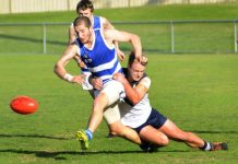 Cobras shooting for the Stars