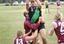 Doves… the spirit of rebirth