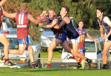 Lions go down fighting