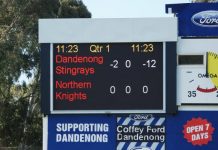 Shaken back into the game