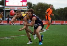 Scorpions claw back to reckoning