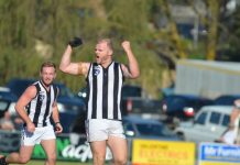 Plucking old feathers