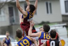 Blockbuster at the Cattery