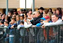 Points upset the apple cart