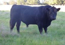 Processor demand falls off