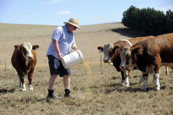 OTLcowweek_148850_01.jpg