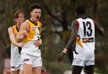 Stingrays to spring off