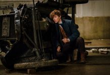 Potted power of re-invention