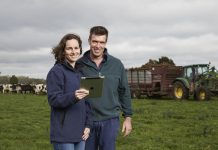 Fingers on farming pulse