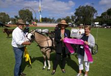 Bev remembered by award