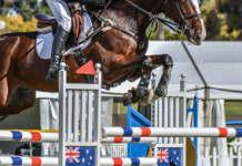 Leaps of faith as brothers set to star