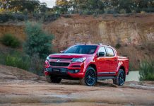 Wizards of Oz cast their spell