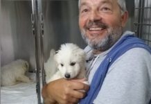 Puppies’ owner “hoping and praying” for last one to return