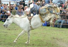 Lang Lang works to start