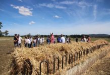 Tactics to take on autumn