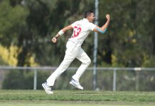 Swans skittled, but proud