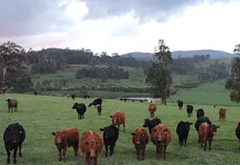 Childhood monster has come to life