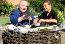 Bringing life to the desert