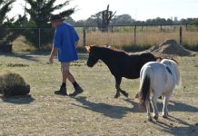 First little friend was a life changer