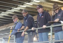 Holiday restricts market