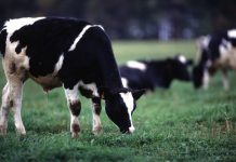 Yard gets a boost with demand