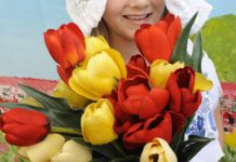 Dutch heritage unclogged