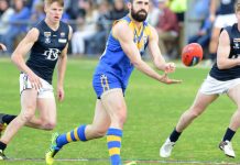 25 of the best in the SEFNL