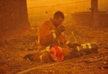 Brave Brad loses battle