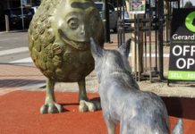 Blue in awe of Yakkerboo