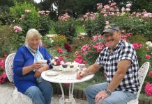 Fruit trees dwarfed by roses