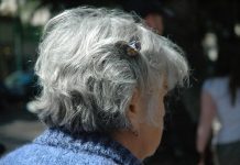 Spotlight on elder abuse
