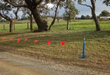 Truck menace: Hope wears thin