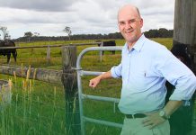 Heart attack MP in emergency stopover