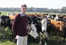 Andrew makes the show go on