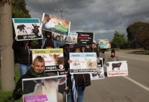 ‘We’re doing the right thing’ says market after protest