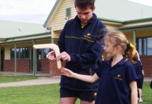 School is a home for Bunjil