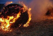 Government blasted over CFA plan