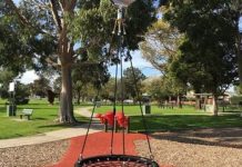 Council takes swing at playground pests
