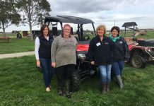 Dairy farmers take safe option