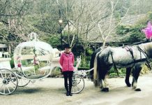 Carriage ban leaves a long face