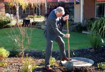 Hitting back at elder abuse