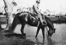 ‘Darby’ Webster made town proud