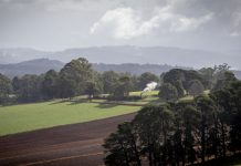 Little earthquake rumbles in