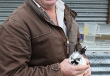 Catching ’em young for life on land