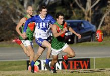 Roos dim Gulls’ finals hopes