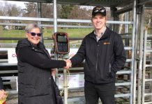 Steer Trial data collection begins