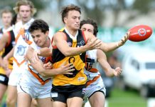 Five in a row for Stingrays