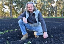 Online food is going for growth